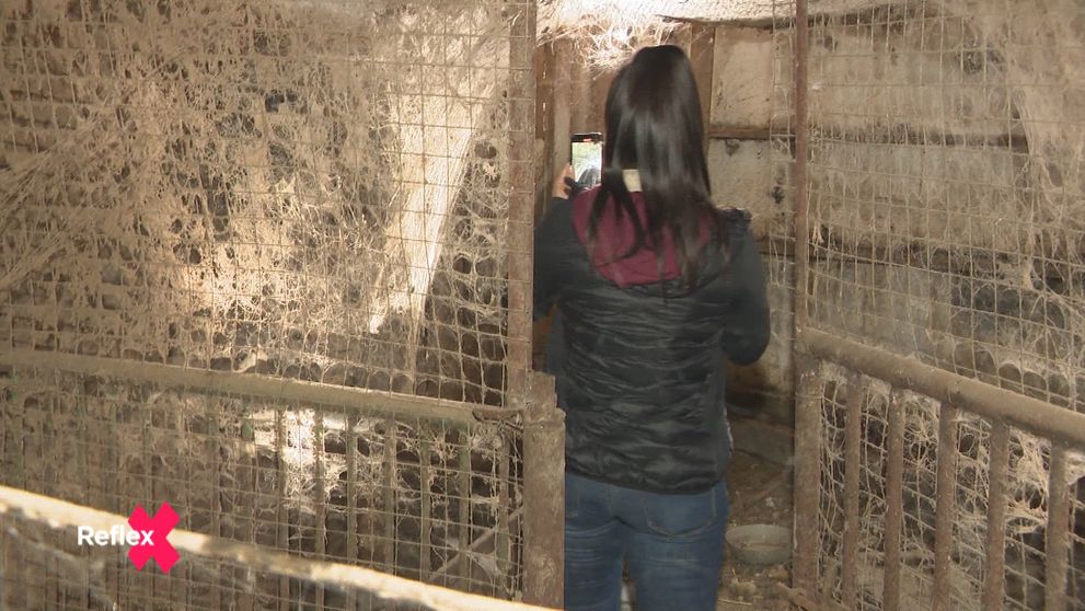 Farma hrôzy: Jej majiteľa sme sledovali takmer rok