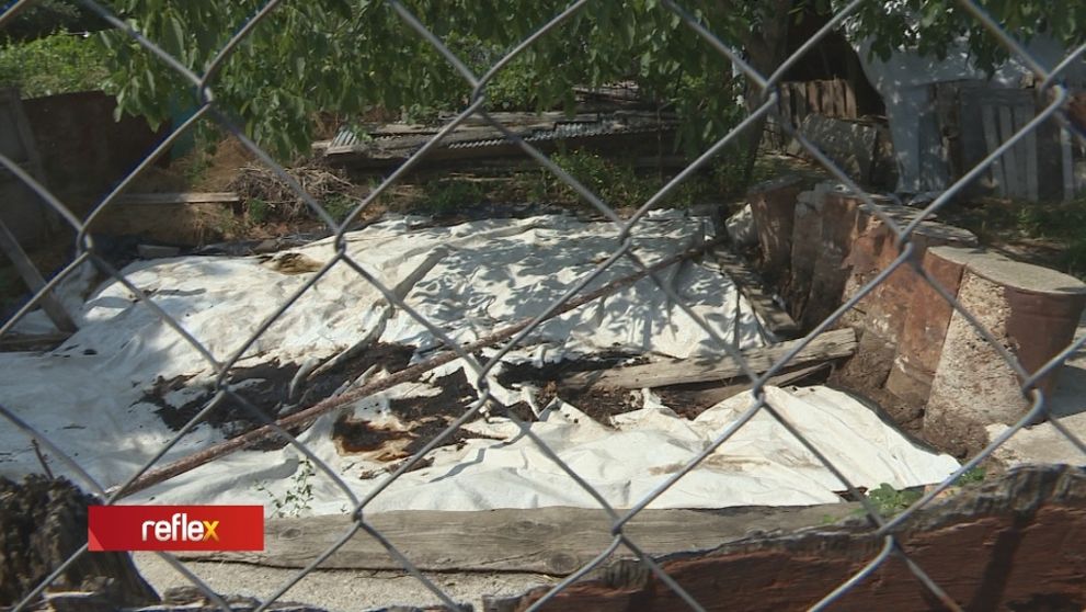 Muchy, potkany a neznesiteľný smrad...