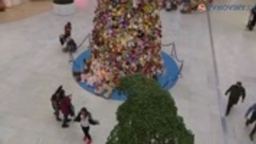 Spútaný motýľ pozná dátum štartu: Toto budú vaši noví romantickí hrdinovia