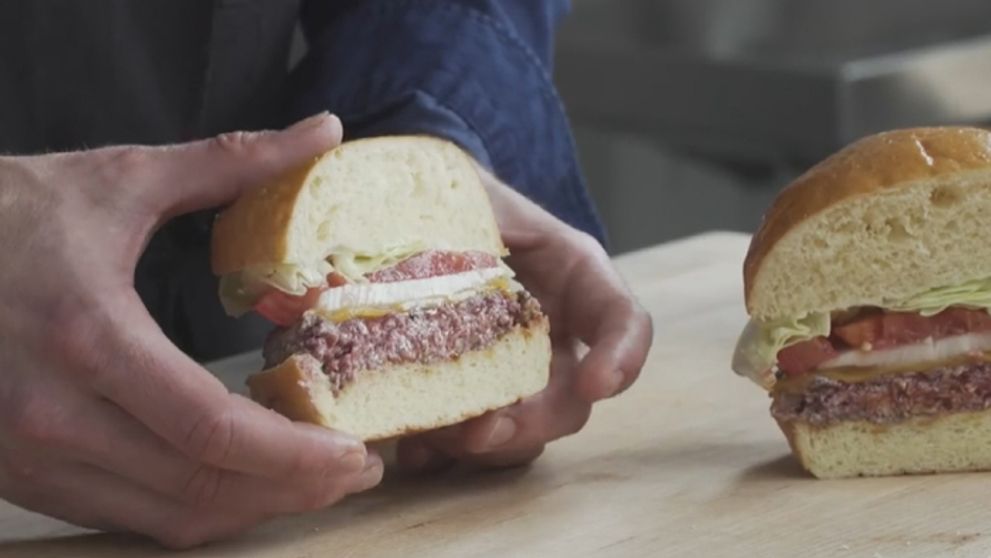 Revolúcia v stravovaní: Prichádzajú hamburgery zo skúmavky