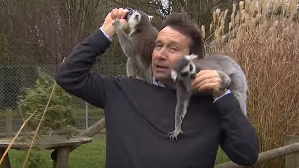 VIDEO: Komplikácie pri nakrúcaní. Reportéra terorizovali dotieravé lemury