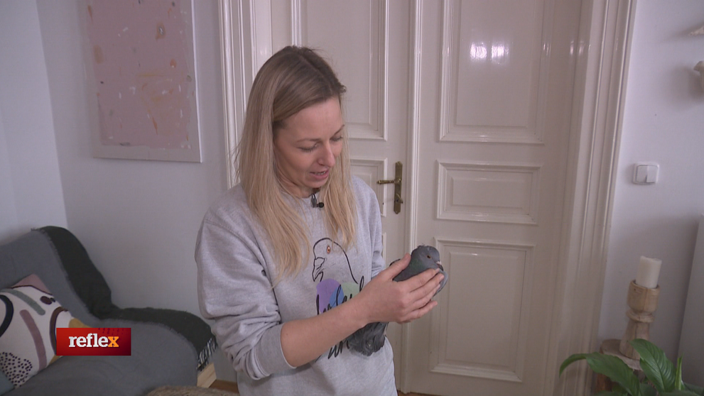 Pomáha holubom aj mestu