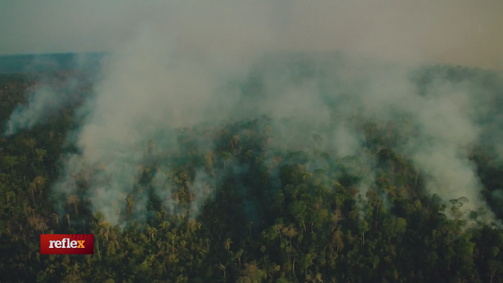 Pľúca planéty sú v plameňoch