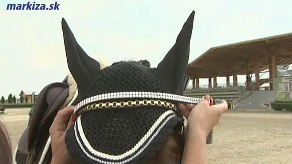 Chorý svet! Módne vychytávky dokonca aj pre kone!