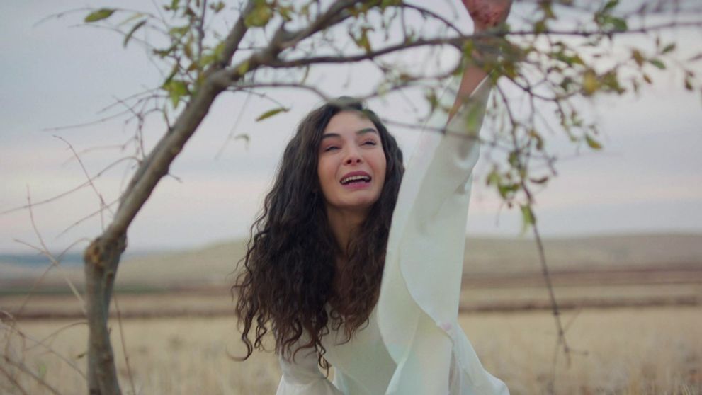 Spútaný motýľ II.: 41. a 42. epizóda