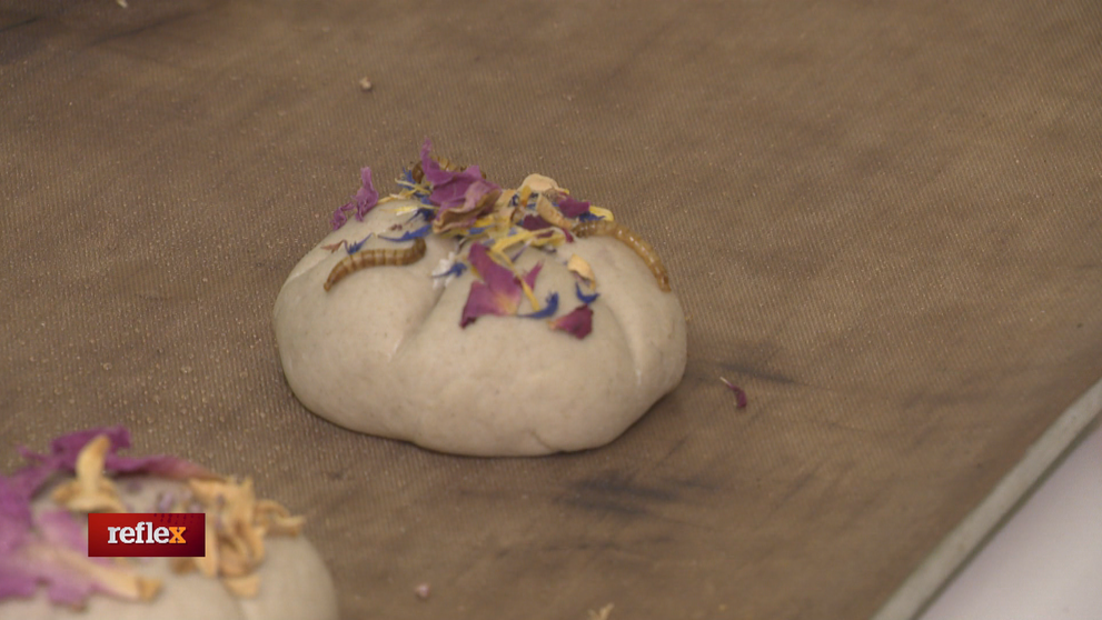 Alternatívne zdroje potravín