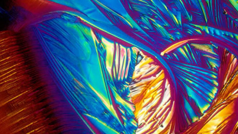 Alkoholická krása! Ďalší dôvod prečo sa opiť!