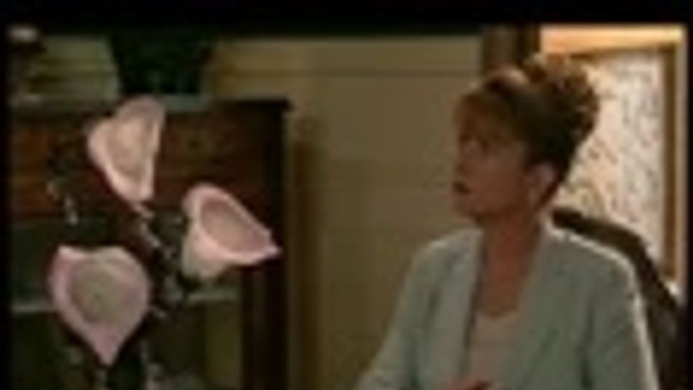 Toto je pravá tvár Plesu v opere: „Hostia si kritiku nezaslúžia“