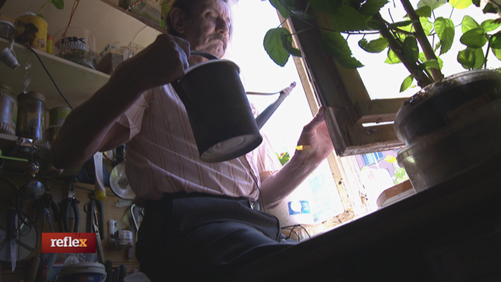 Pätnásť schodov k slobode