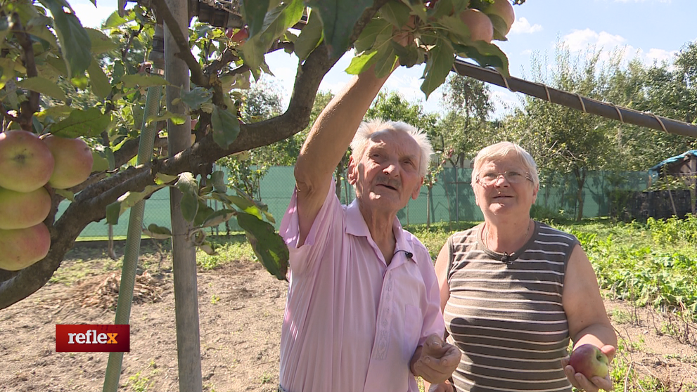 Dôchodcovia brigádnici