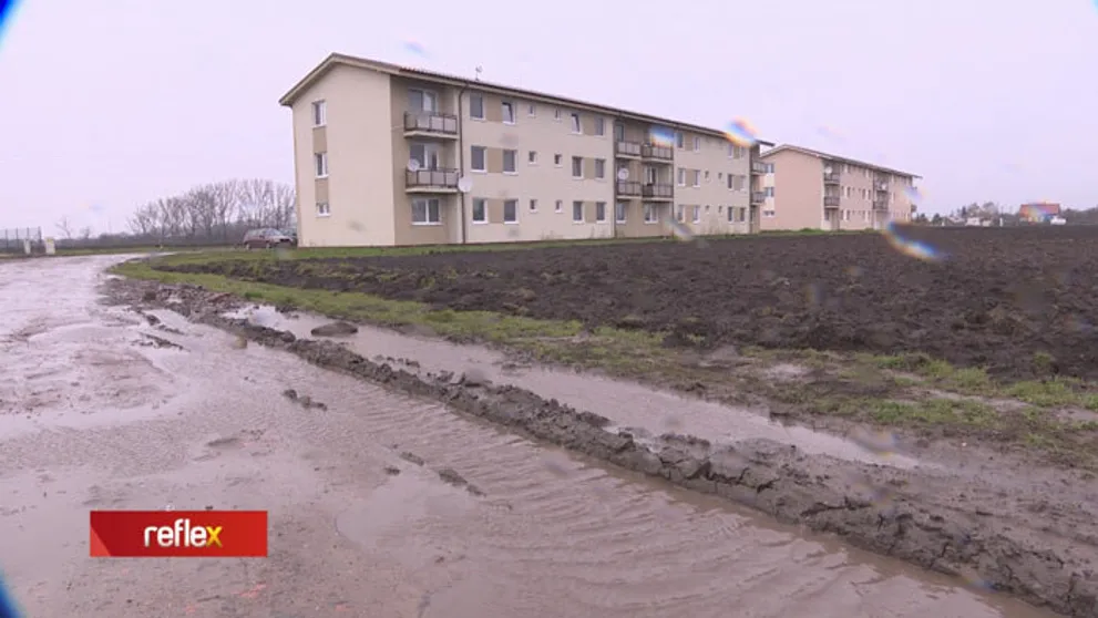 Keď začne pršať... Vlasy sa im stavajú dupkom!