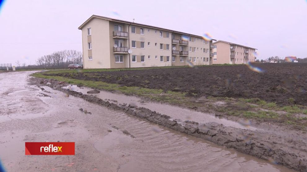 Keď začne pršať... Vlasy sa im stavajú dupkom!