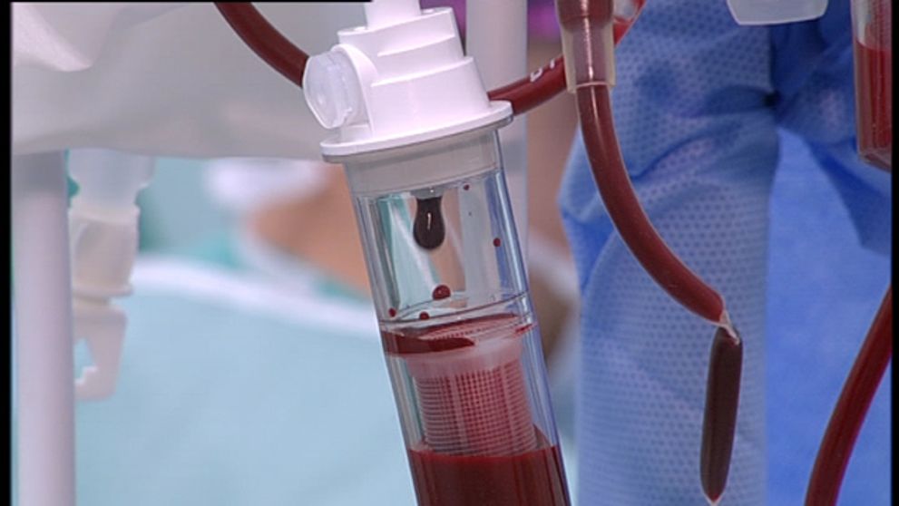 Maddie by mala desať rokov