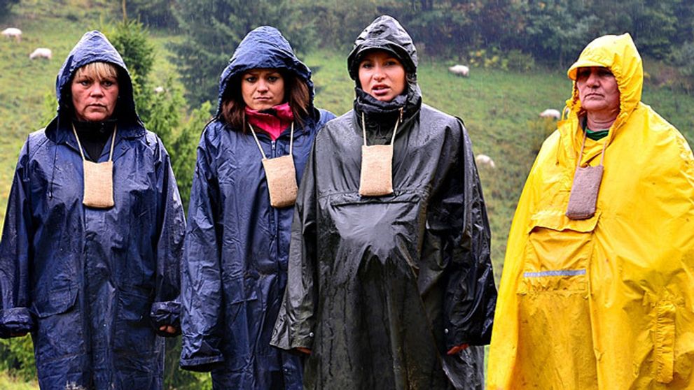 Toto sme tu ešte nemali! Nepoškvrnené počatie na Farme?