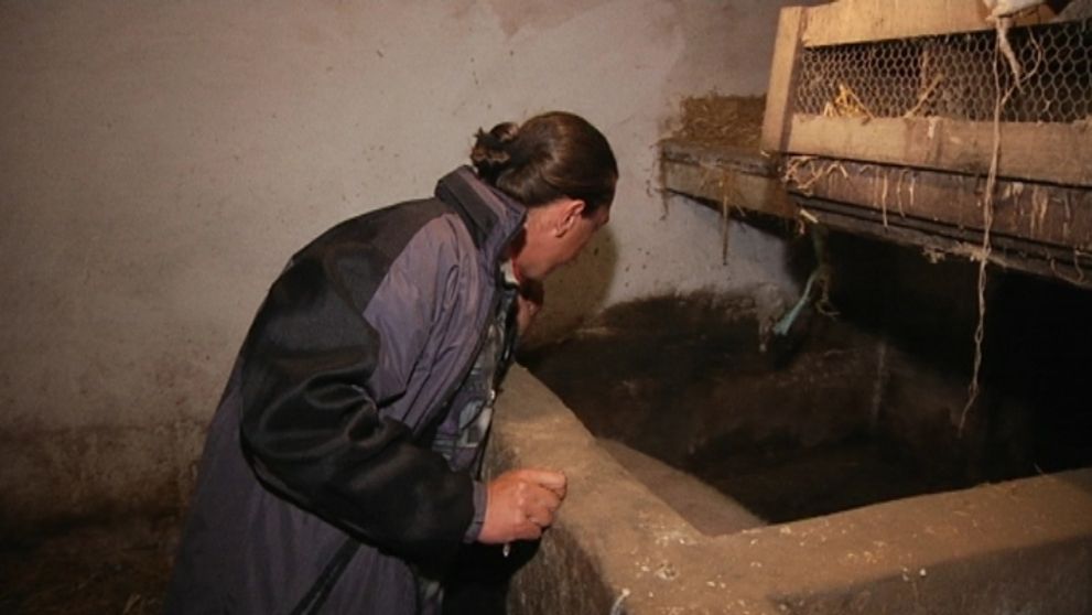 Predstavujeme vám Ľubošov zverinec: Ten chlap má doma hotovú ZOO!