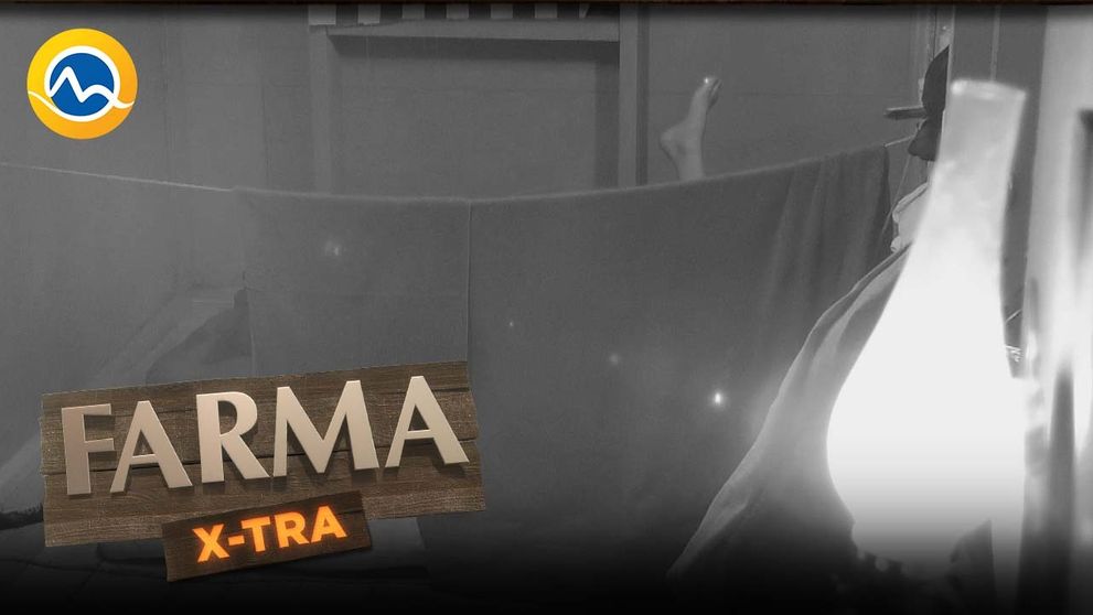 Matej je čoraz inovatívnejší. Čo to s tou Mirkou stvára!?