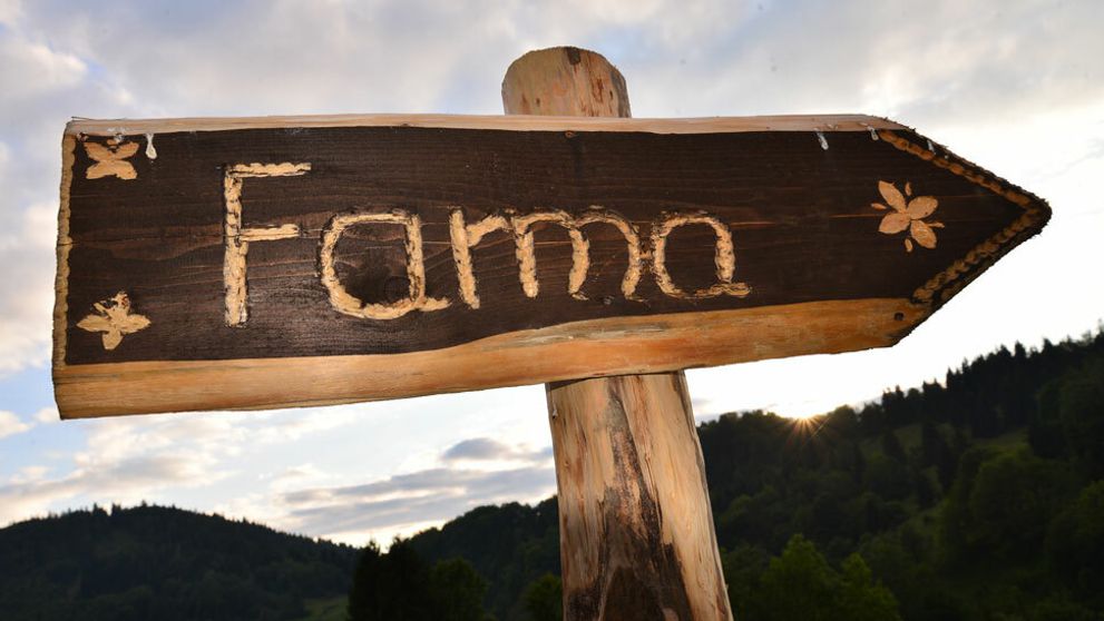 Farma 13 je tu: Prvé informácie o novej sérii drsnej reality šou!