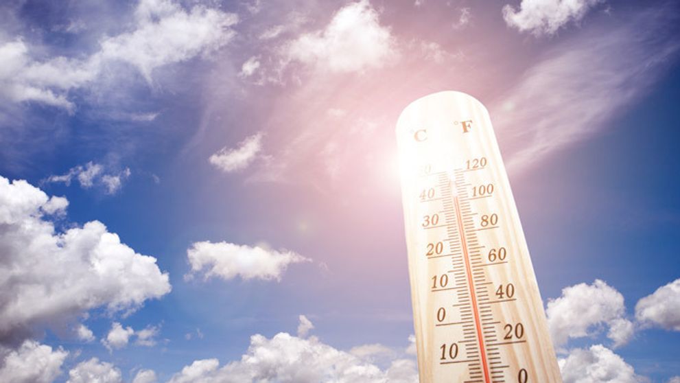 Extrémne horúčavy na Slovensku: Kam sa pred teplom ukryjú celebrity?