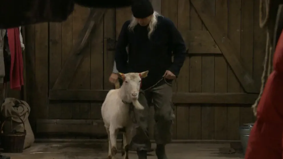 Chanas si našiel na Farme najlepšiu kamarátku!