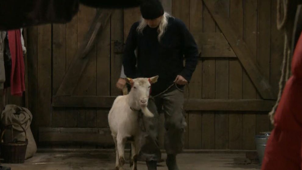 Chanas si našiel na Farme najlepšiu kamarátku!