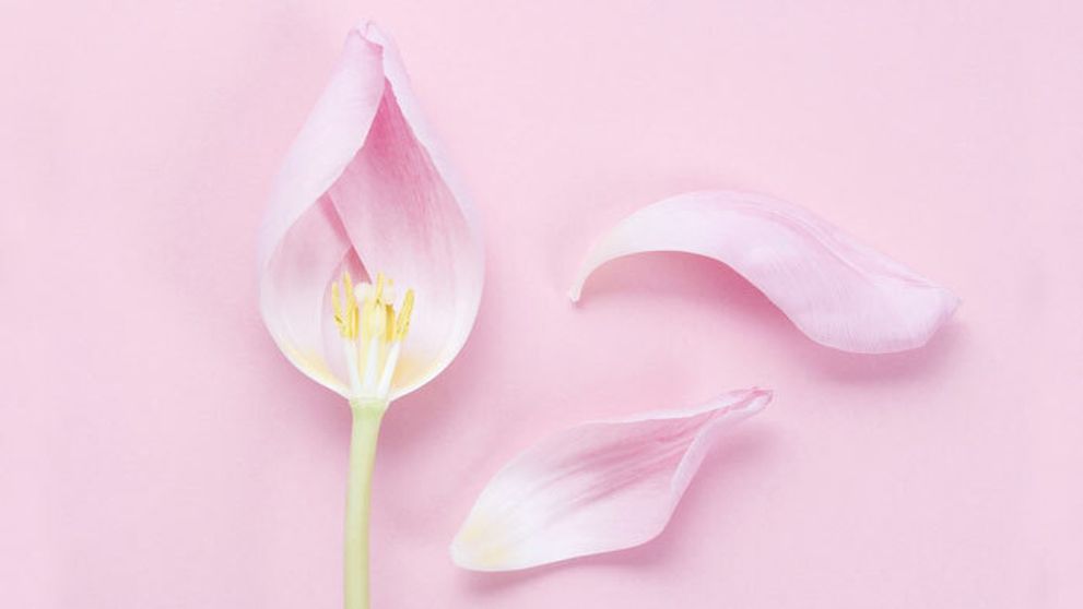 Ako sa udržať fit v prechode