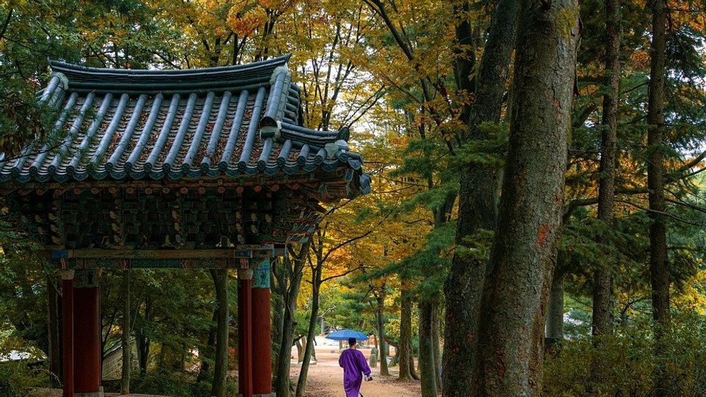 Prečo je kórejská kozmetika populárna?