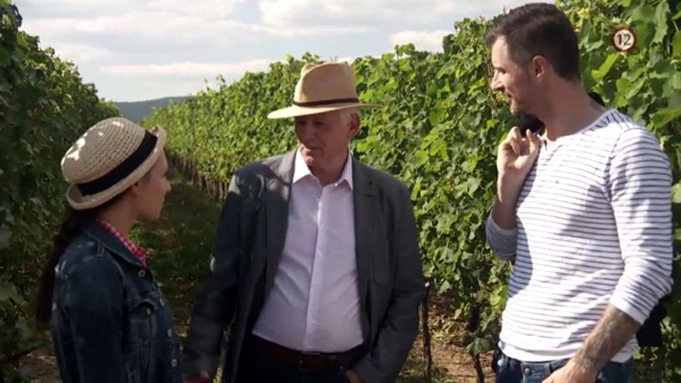 Búrlivé víno: 475. a 476. epizóda