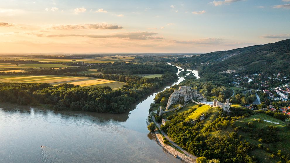 Nebuď z toho jeleň, Behaj lesmi!