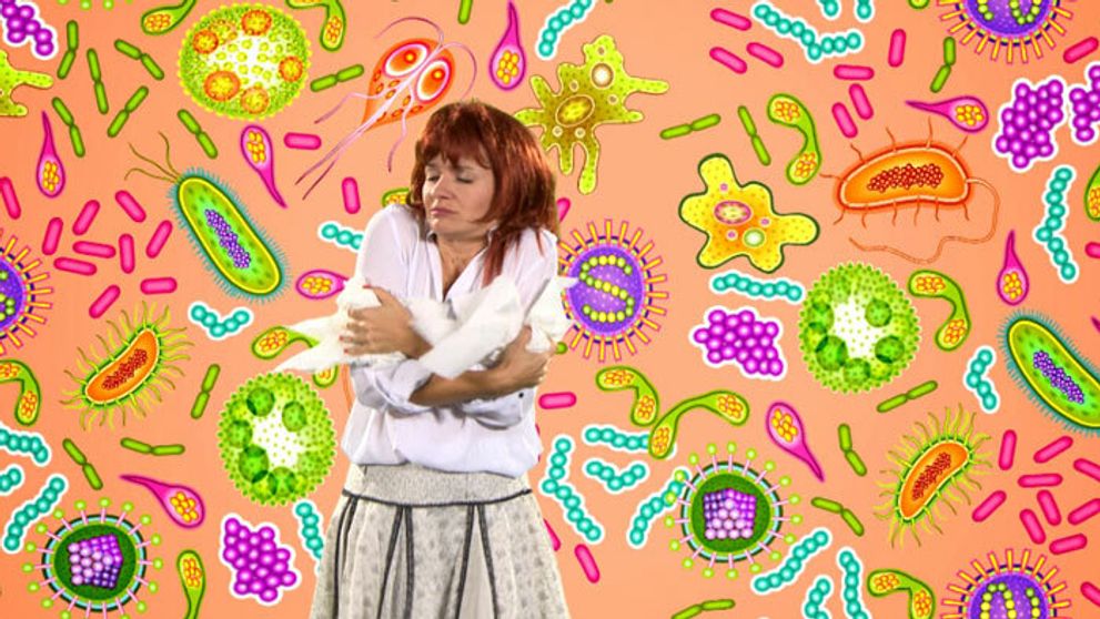 Zo Šebovej Smatanová: Pozrite si najvtipnejšiu paródiu na veľký hit!