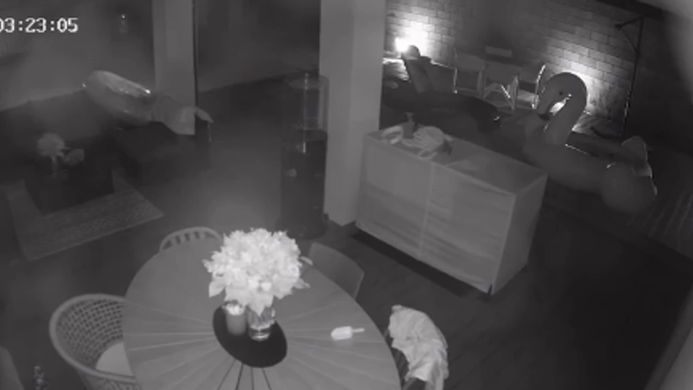 Desivé zábery: Zlodej sa premával u českej hviezdy, keď bola v dome s bábätkom!