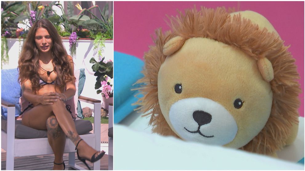 Záhada vyriešená! S levom je to vraj úplne inak, ako si všetci mysleli