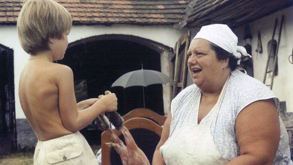 Kultová komédia Slunce, seno, jahody zatiaľ najsledovanejším programom mesiaca