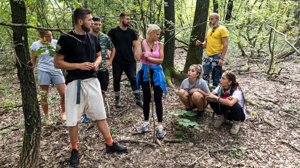 Panika na statku! Farmárom zmizli všetky ovce
