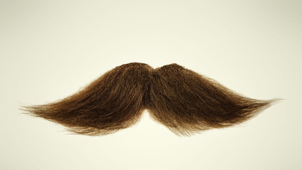 Muži si hromadne nechávajú narásť fúzy. Movember sa opäť hlási o slovo