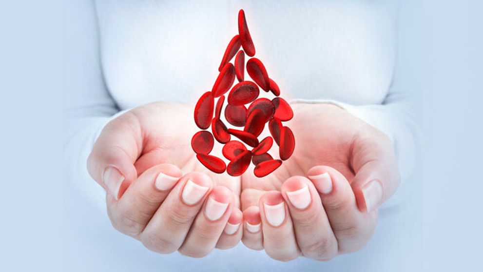 Markizáci darujú krv