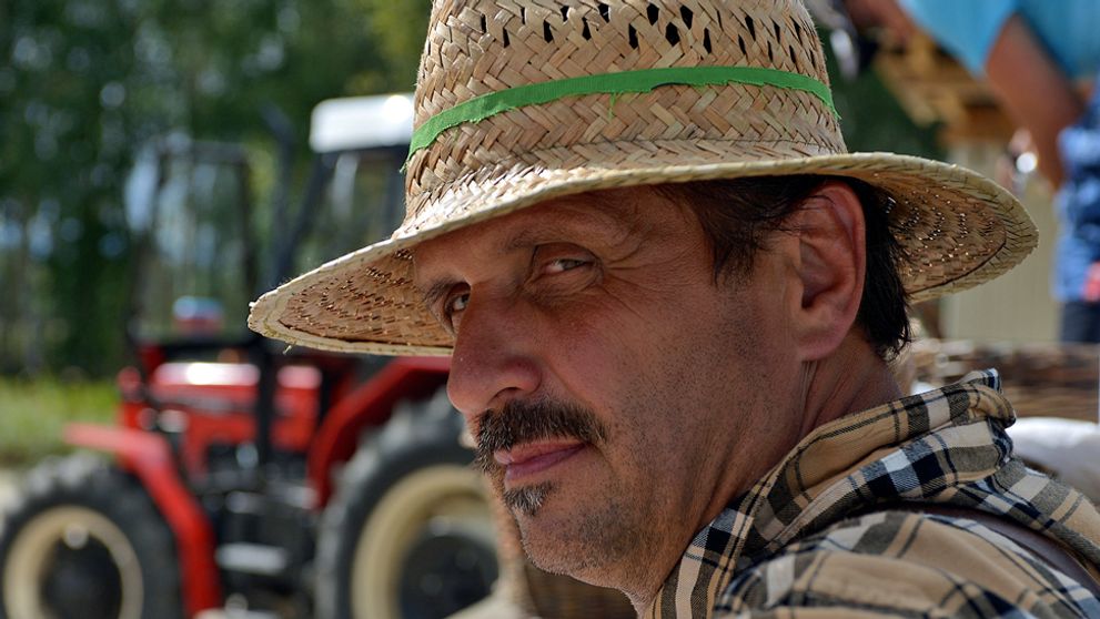 Farmári majú vážny problém: Rozzúreného hospodára už prešla trpezlivosť!