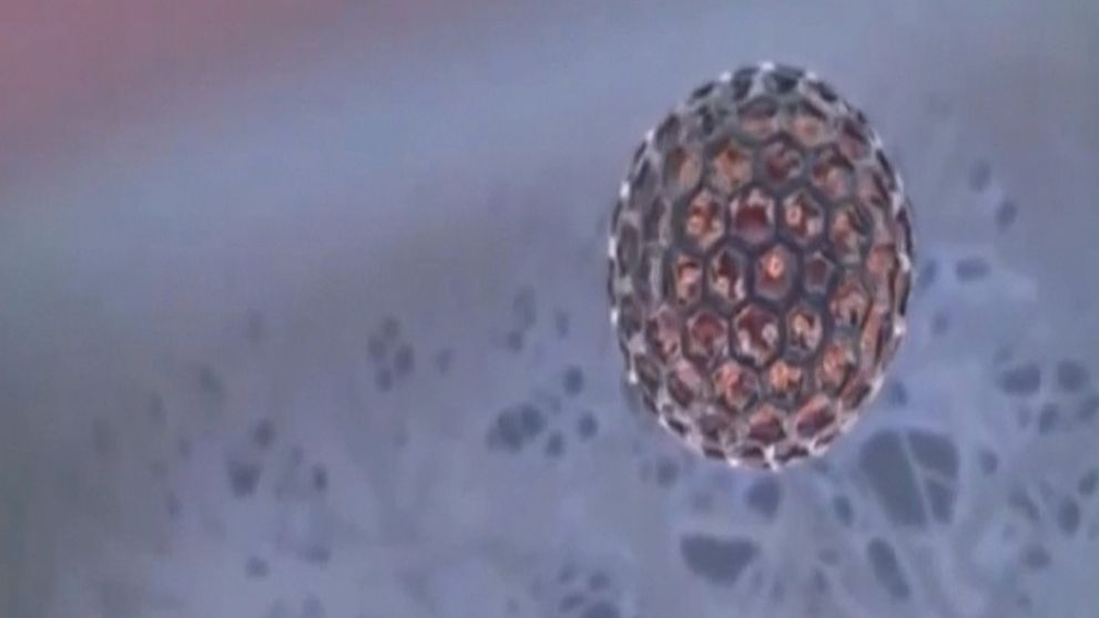 Smrteľný vírus bude liečiť rakovinu