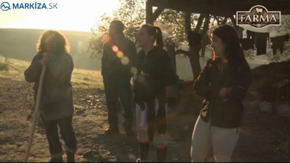 Katastrofa! Miriam ušlo dvesto oviec!