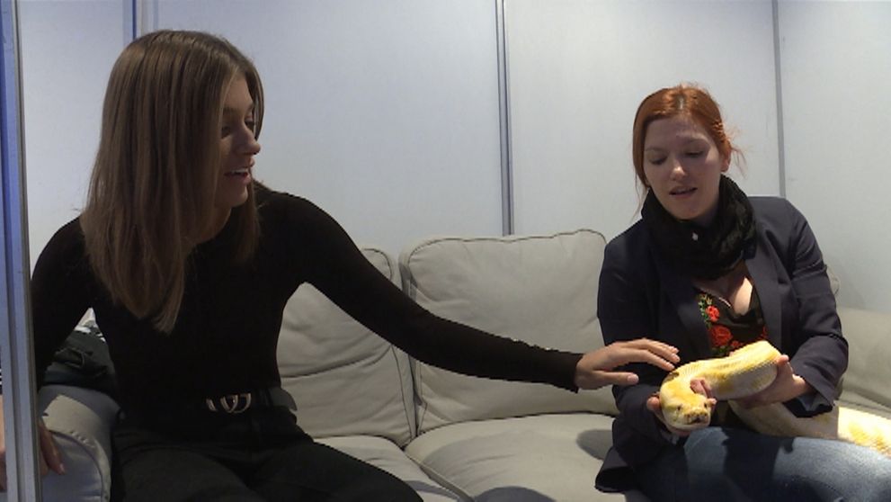 Jasmine skoro vypadli oči. Tohto obrovského hada si musí dať na seba