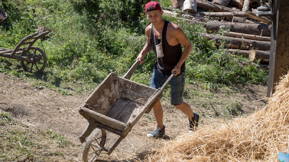 Vegetarián na Farme: Prežije to?