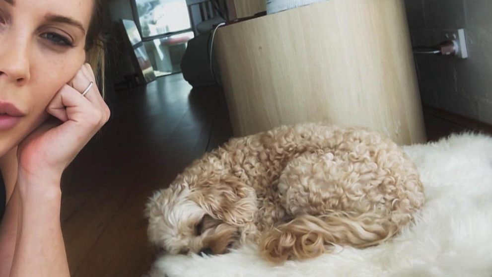 Účastníčka šou o láske sa nakrúcala na mobil: Nechtiac odhalila, že bola neverná