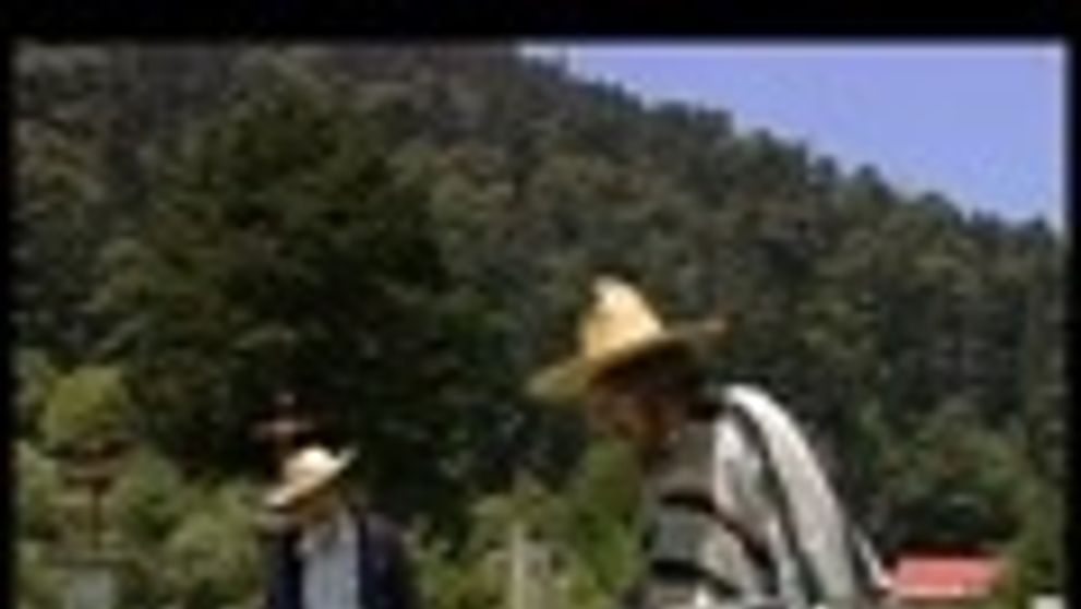 Tajomstvo z Plesu v Opere: Prečo mala Jana Mutňanská krv na šatách?