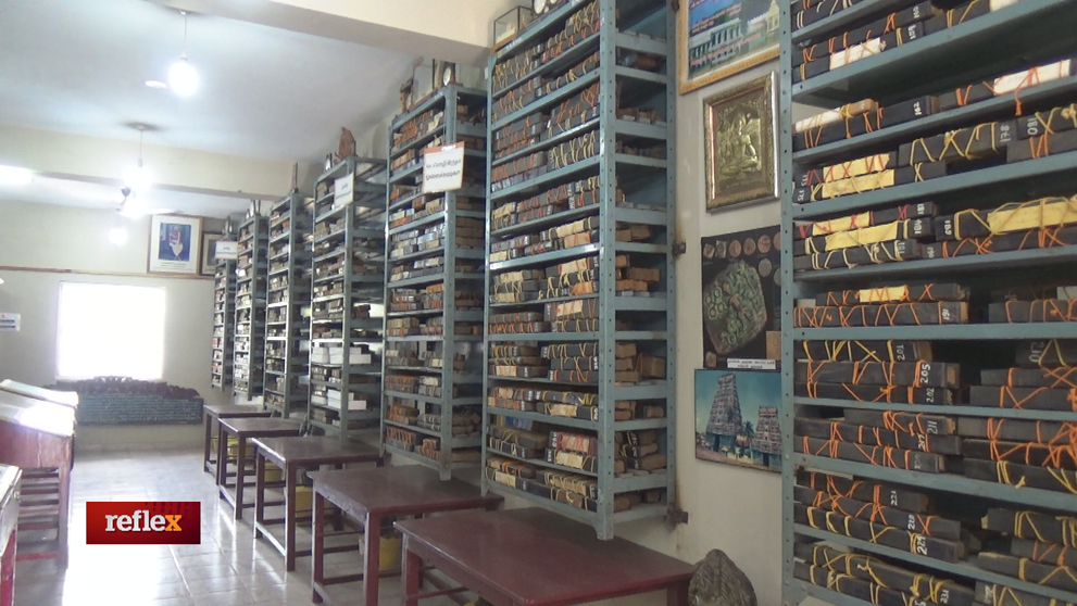 Budúcnosť z palmových listov