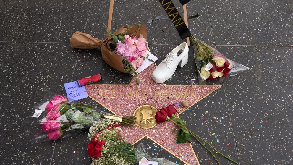 Roky zvádzal boj s rakovinou, nakoniec ho prehral