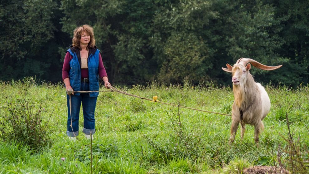 Mirka spieva! Farmári jej už majú plné zuby!