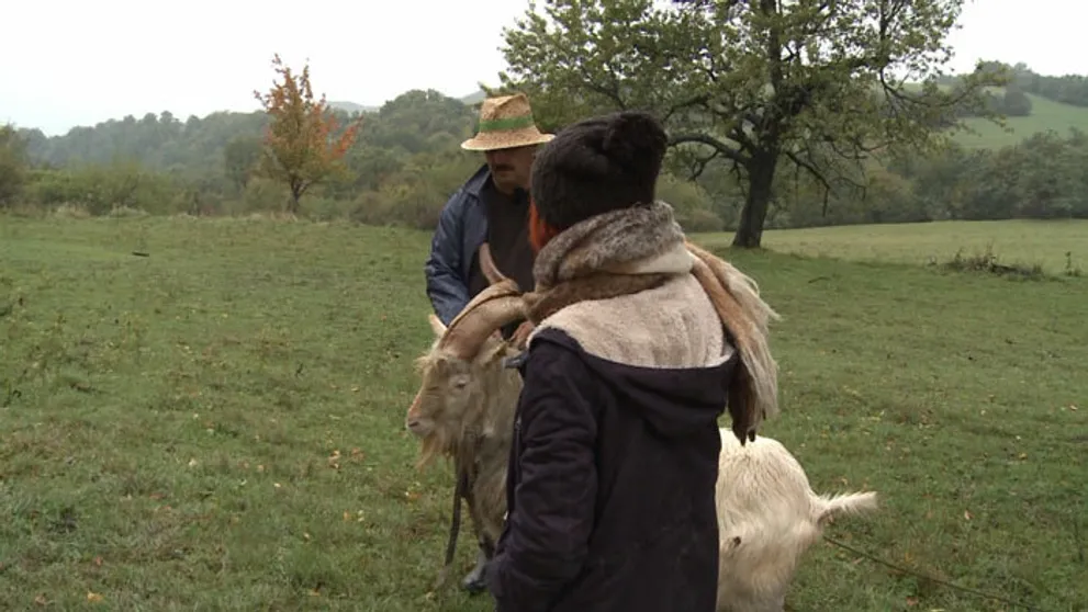 Hospodár Martin zúri na Farmárku týždňa: Si na Farme, staraj sa!