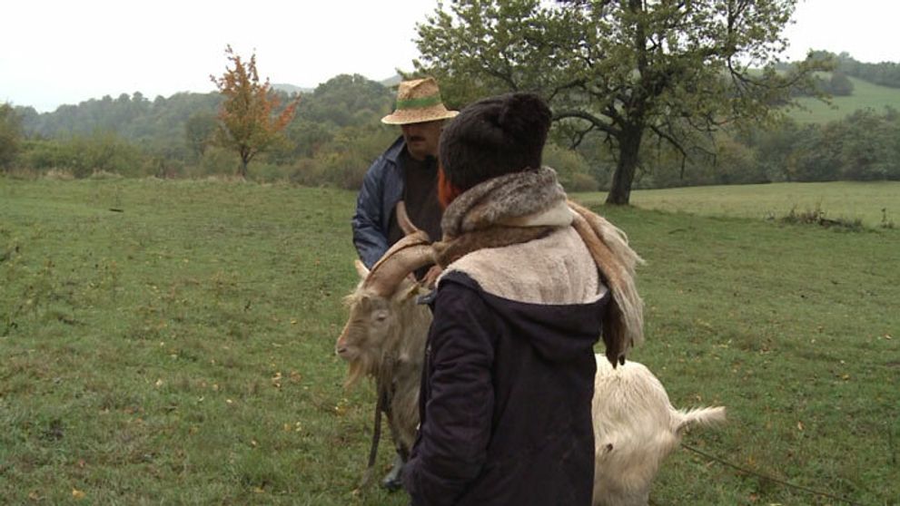 Hospodár Martin zúri na Farmárku týždňa: Si na Farme, staraj sa!