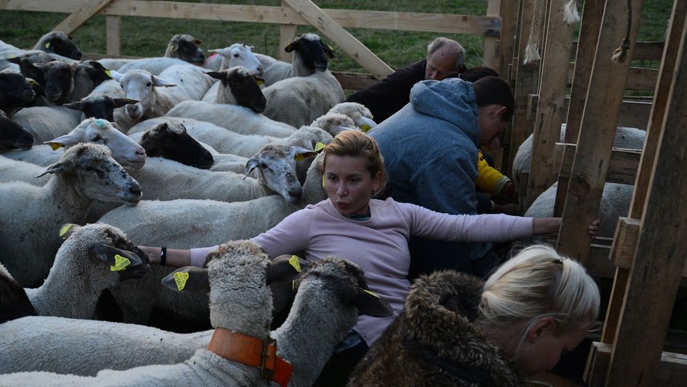 Petrina dojemná spoveď: Všetkým som na smiech