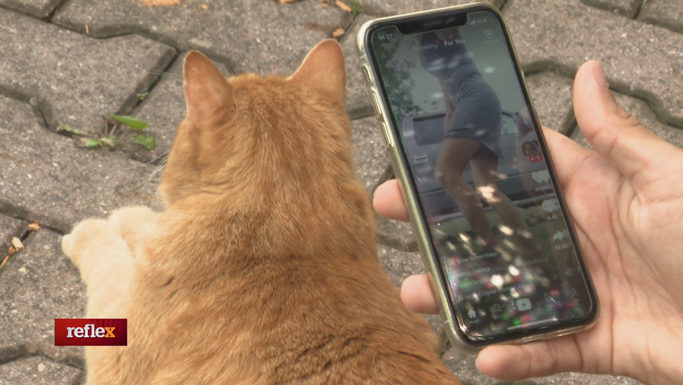 Čínska sociálna sieť je novým fenoménom