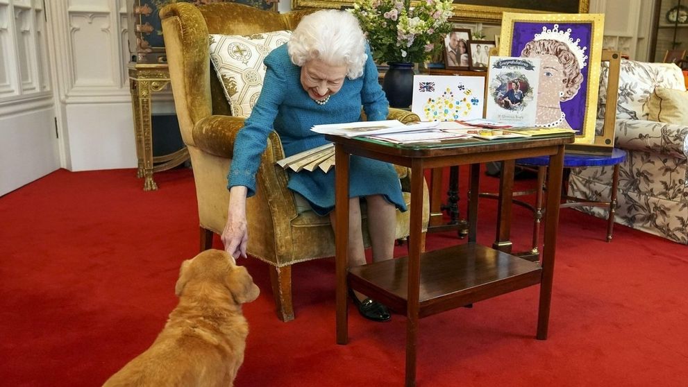 O osude kráľovniných psích miláčikov je rozhodnuté